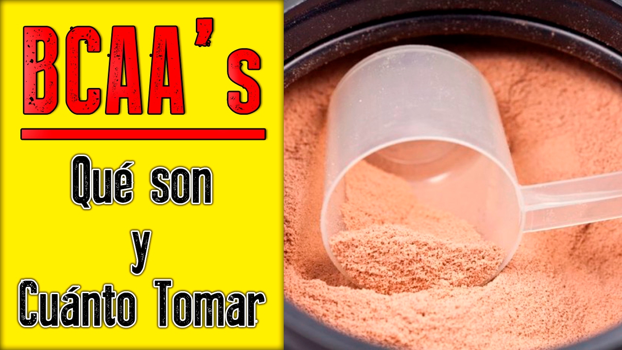 BCAA's (Aminoácidos Ramificados) - Que es, Para Qué Sirve y Cuánto Tomar