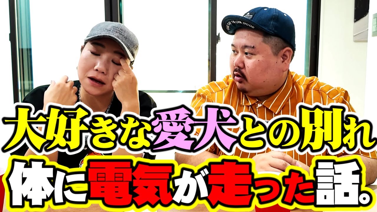 【霊視】いーずーさんに愛犬のお話を聞かせてもらった。～生きてる時にできる事亡くなってできる事～