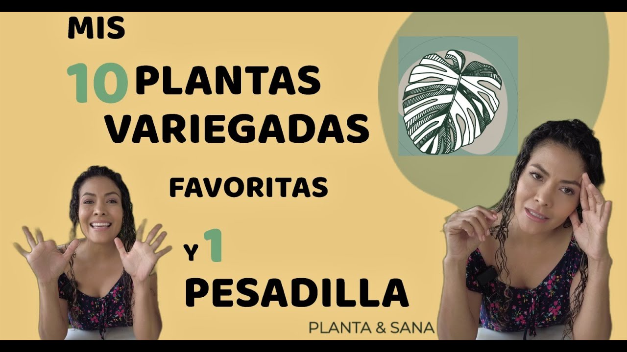 MIS 10 PLANTAS VARIEGADAS FAVORITAS Y MI PESADILLA