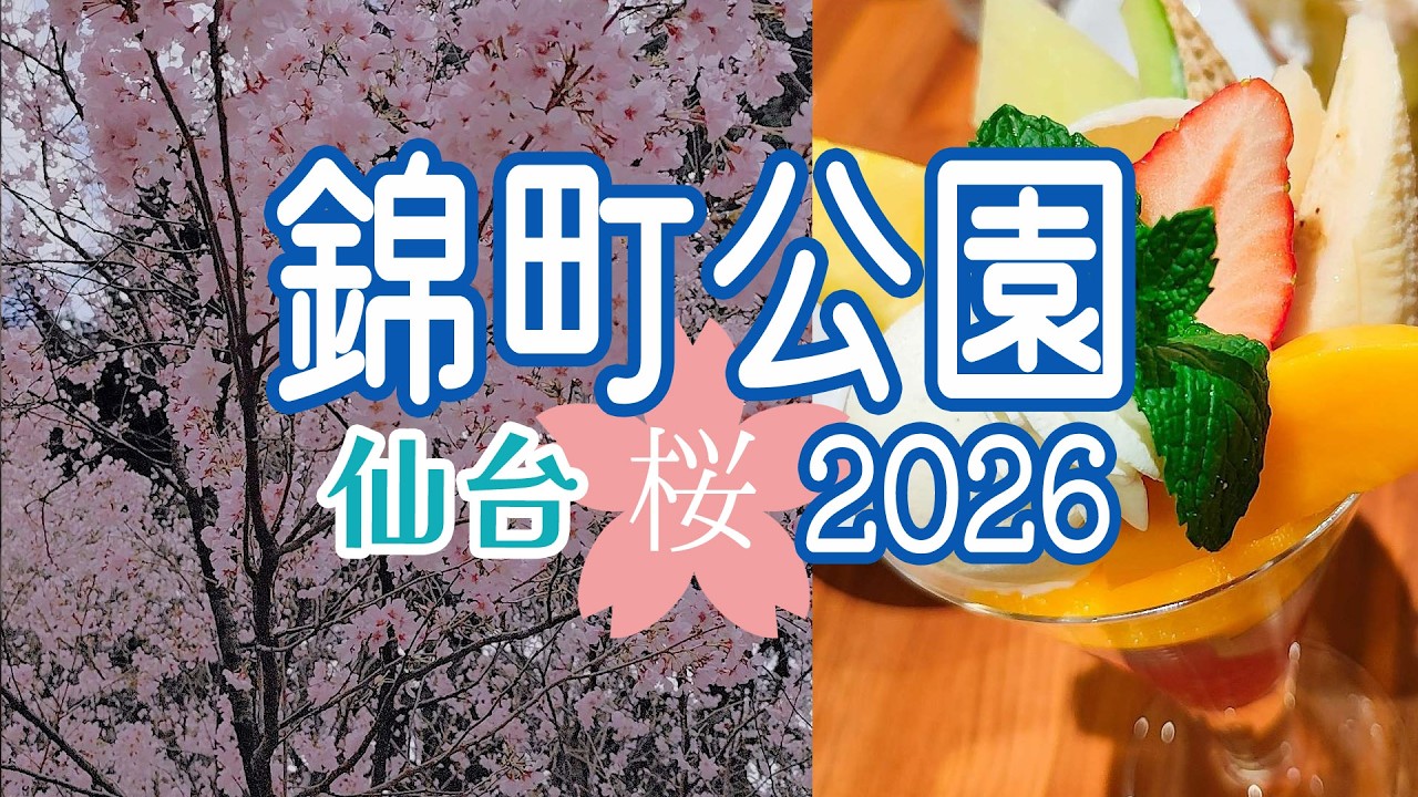 【2026】仙台 錦町公園の桜とフルーツパフェ