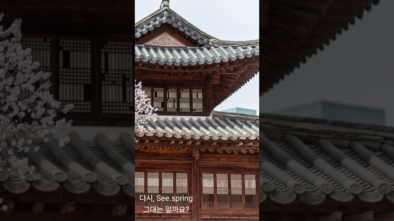 다시, 봄(See, Spring) 그대는 아셨나요?