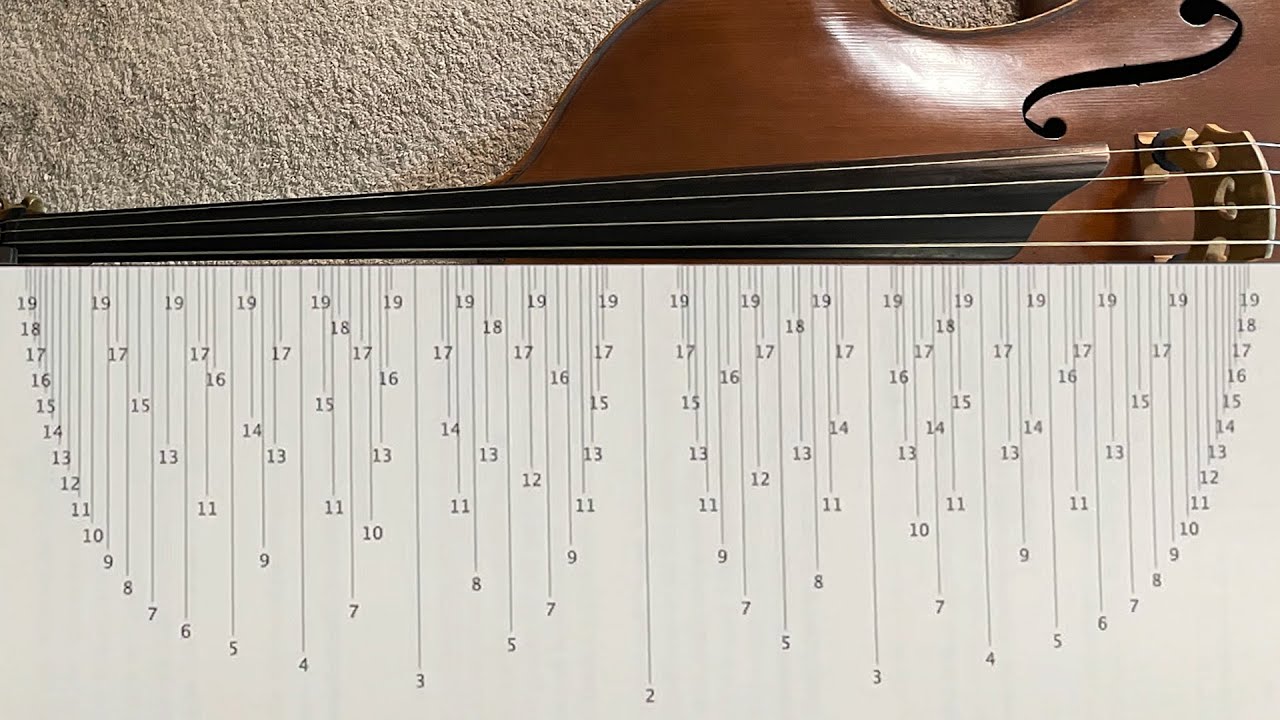 a guide to (mostly) pizzicato harmonic techniques for the double bass - great new book!