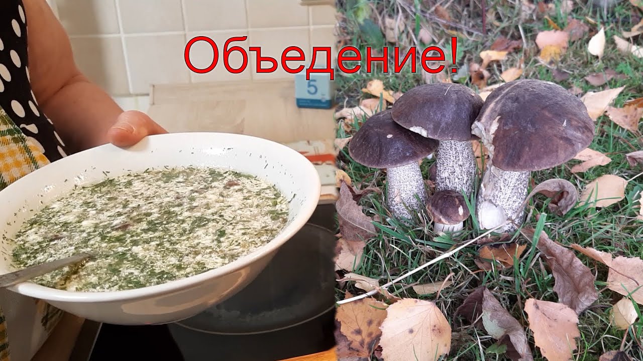 Самый вкусный суп из подберезовиков. Фирменный рецепт. / № 14