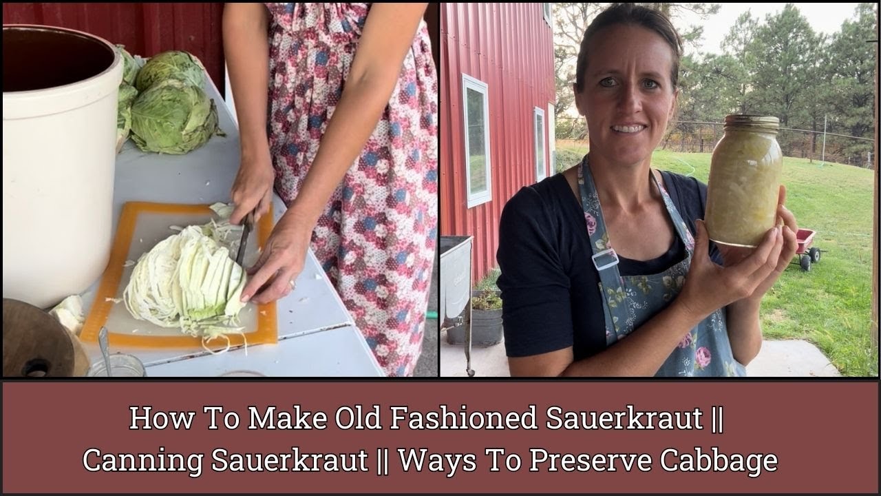Learn How To Make Old Fashioned Sauerkraut ||  Different Ways To Preserve Cabbage