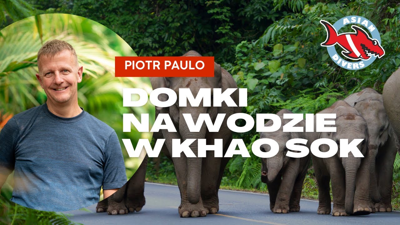 Domki na wodzie w Khao Sok | Dżungla na dwa dni