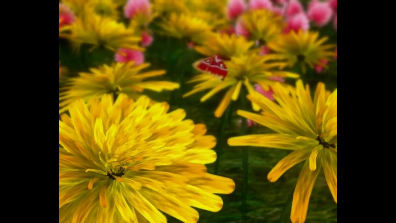 At Least I Know Where He Is Tonight &copy; 2005  Tom Rhodes and Marty Ward