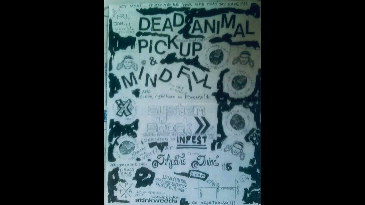 Dreamsong by Dead Animal Pickup
