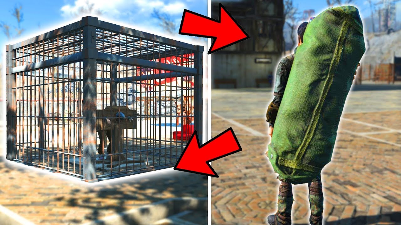 HO RAPITO UNA PERSONA E L' HO MESSA IN PRIGIONE?! | Fallout 4 #23