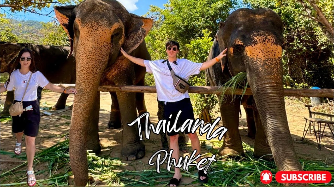 Prima impresie despre Phuket, Thailanda. Am hrănit elefanți 🐘 și am ajuns în haosul din Patong Beach