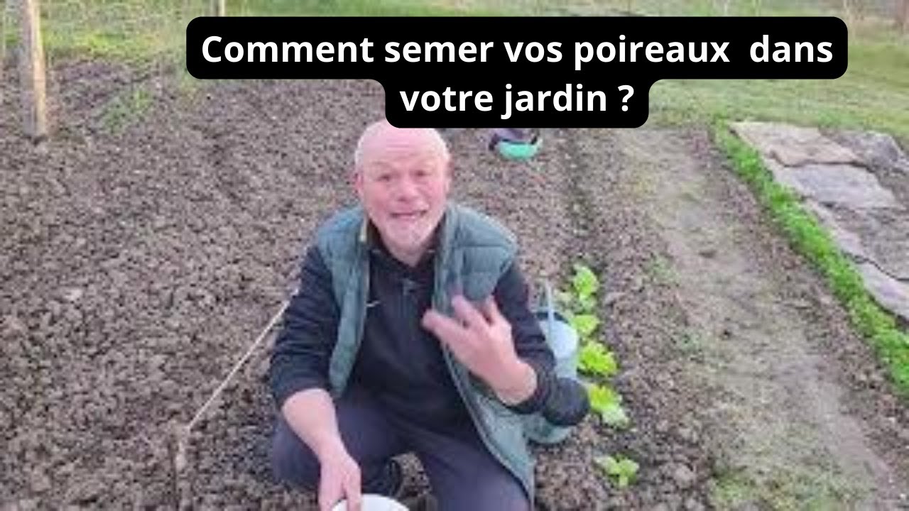 Comment semer vos poireaux dans votre jardin .... Quand semer  ?