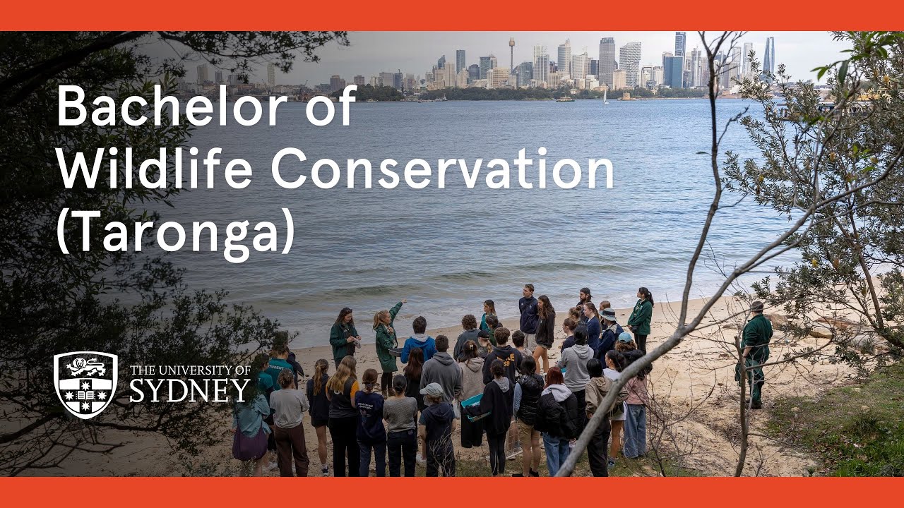 Bachelor of Wildlife Conservation (Taronga)
