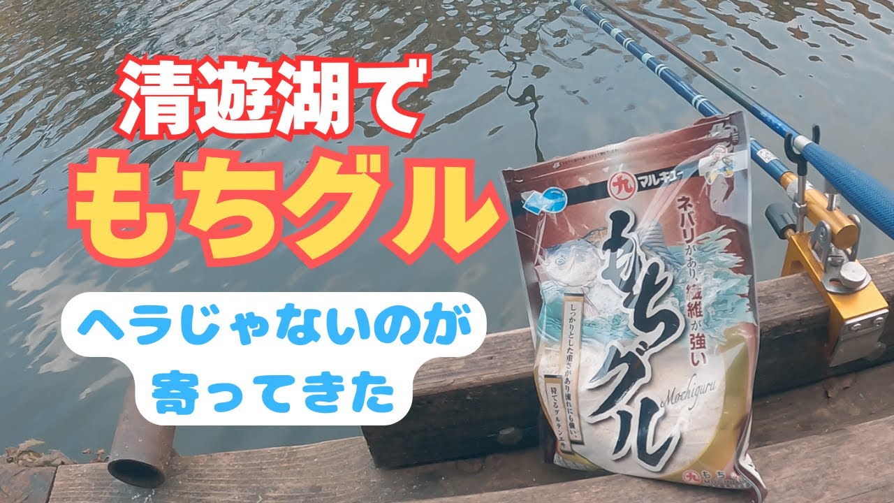 へらぶな釣り動画です。清遊湖で「もちグル」試したら🎣 千葉県　柏市　新製品　日の丸釣具　ネコ