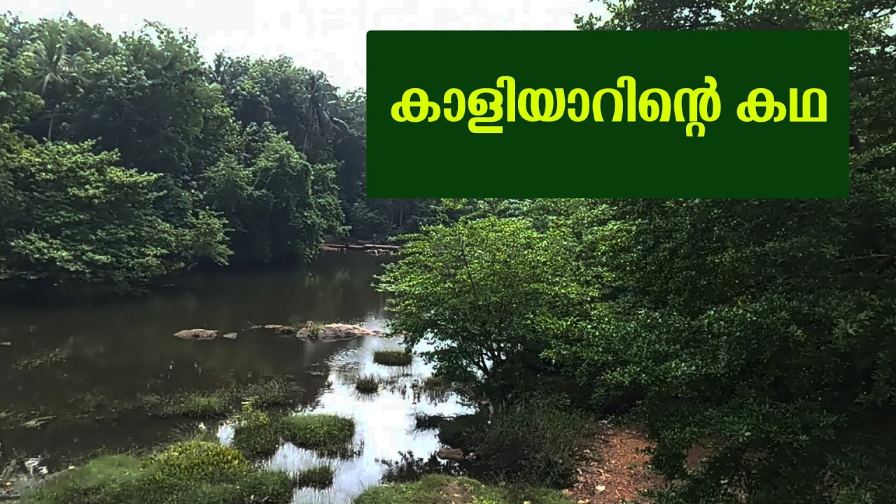 kaliyar village of idukki | kerala tourist place | vannappuram | muvattupuzha