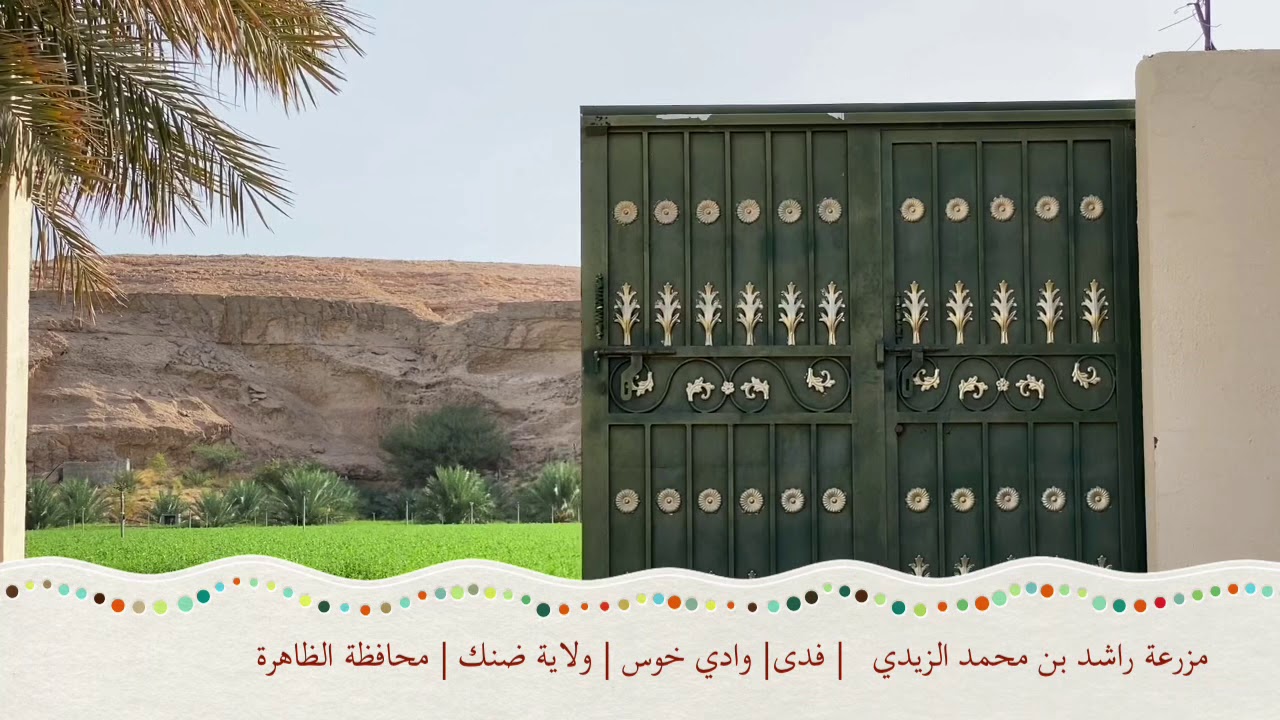 وادي خوس | مزرعة الوالد راشد الزيدي