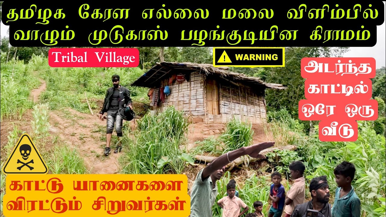 முடுகாஸ் பழங்குடியின மக்கள்|அடர்ந்த காட்டின் மலை விளிம்பில் ஒரே ஒரு வீடு|தமிழக கேரள எல்லை காடு