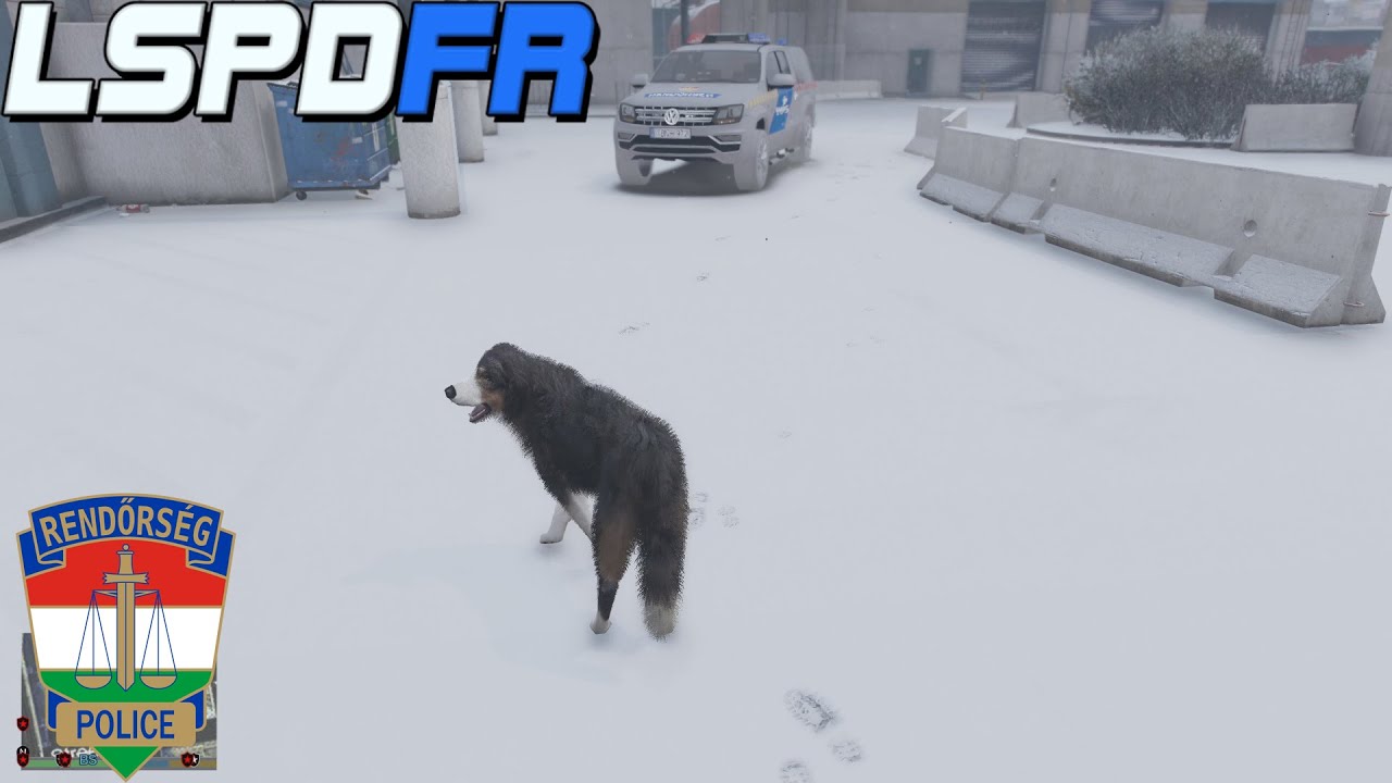 KUTYÁS SZOLGÁLAT 🐕🔵  GTA V LSPDFR #40 #magyarmod #lspdfr