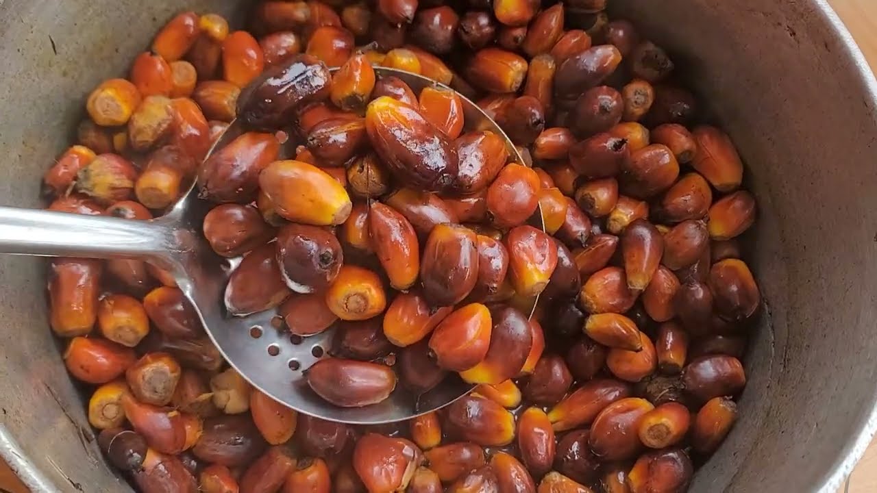How to cook Banga soup | How to cook kwacoco and Banga Soup |step by step for beginners