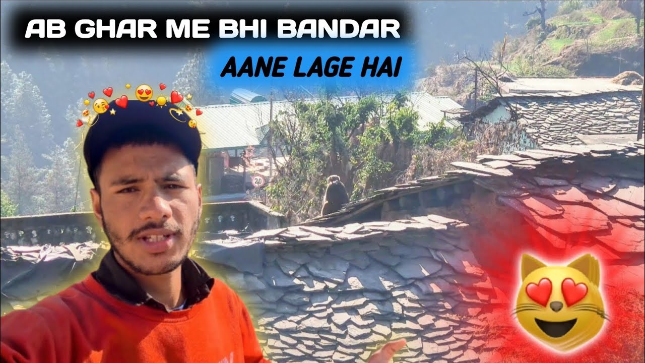 Gaon Me Bandro Ka Aatank 🙊