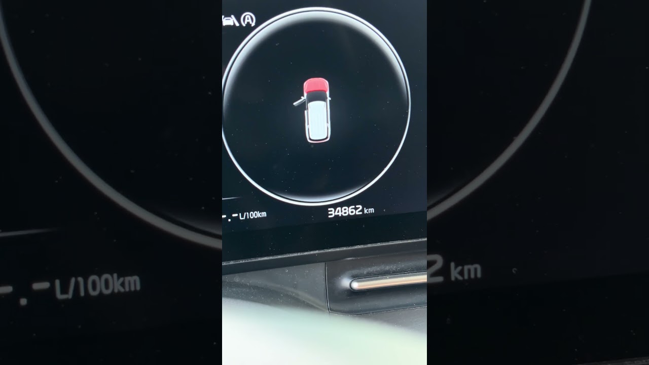 Удалили экологию Kia Carnival KA4