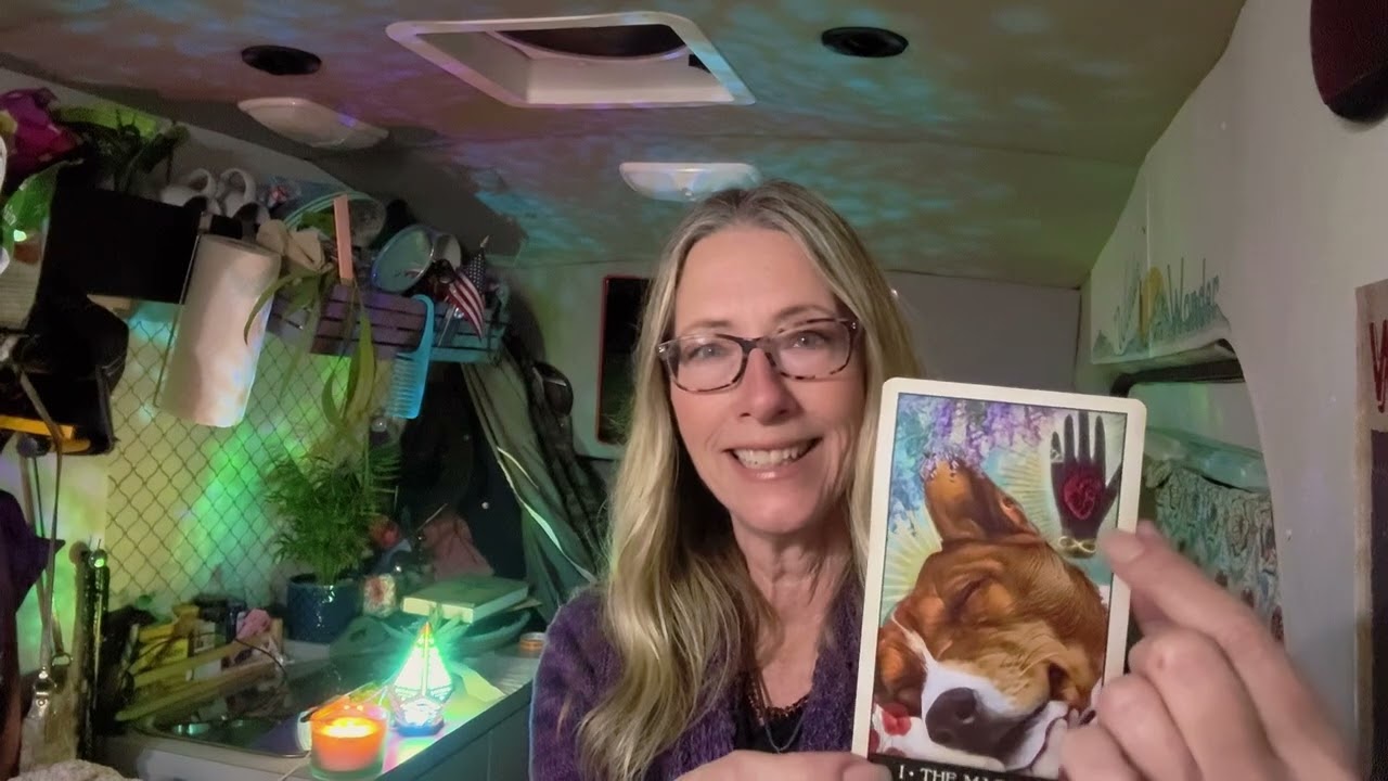It’s Time to Reclaim Your Life - Wise Dog Tarot Reading! 🐾 