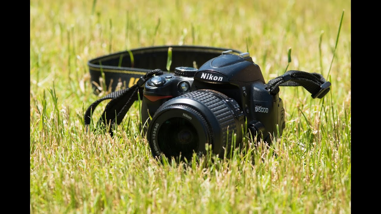 Nikon D5000 and 18-55 f/3.5-5.6G DX - What I’m Shooting With This Week