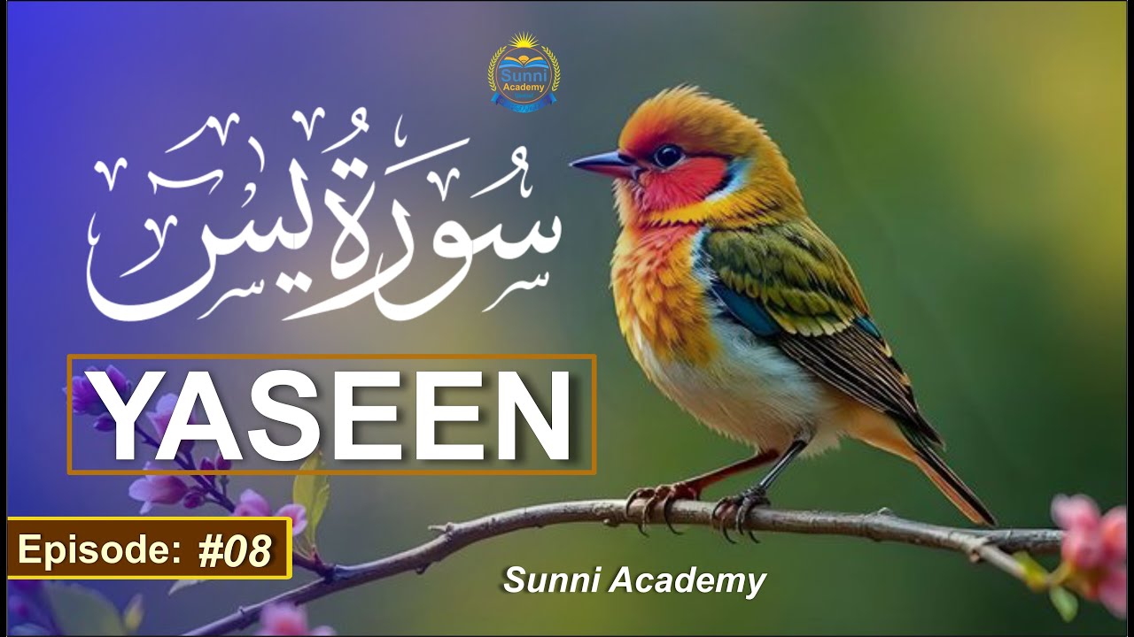 Surah Yaseen Ep #08 | Beautiful Quran Tilawat by Qari Yasin Rizvi | Sunni Academy | Daily Quran