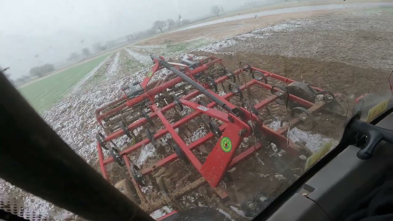 Owies ozimy czy zdążę go wsiać przed zimą??? Został mi tylko Arbos...
