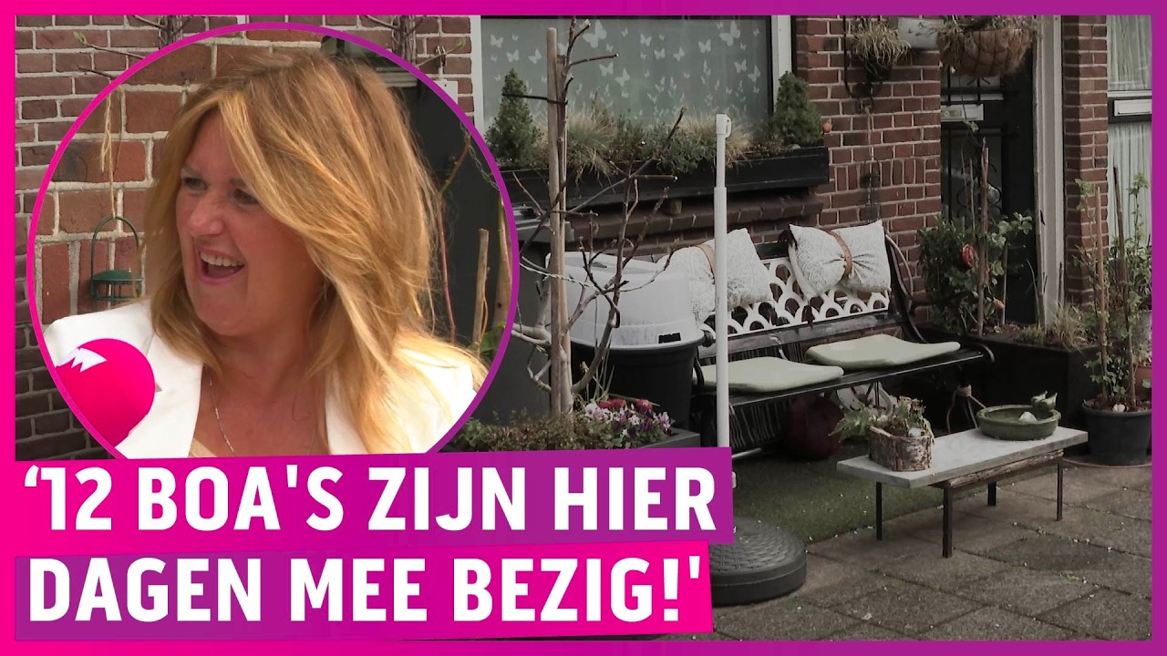 Klagende buur zorgt voor bizarre tuinrel: &lsquo;Mierenne*kerij!'