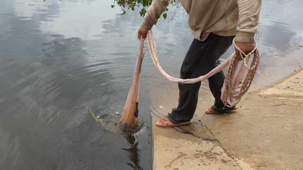 Amazing catching fish in lake fishnet fishing#fishing #fishingtips #catchfishtechnique