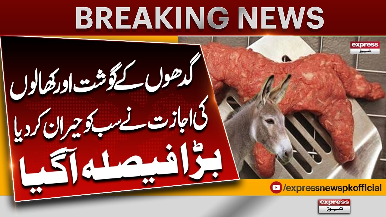 Donkey Meat & Hide Policy? | What&rsquo;s the Reality | Breaking News | APakistan News