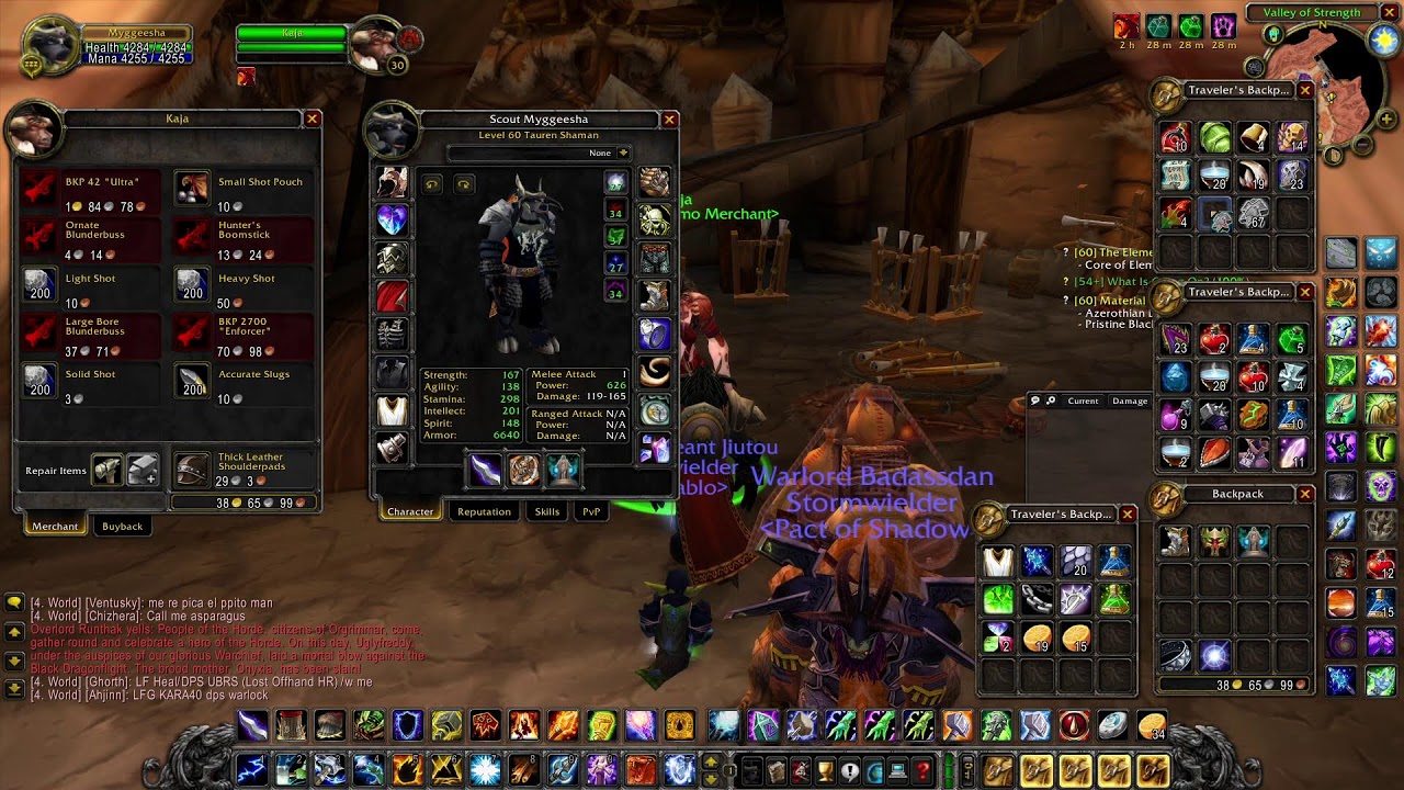 lvl 60 shaman - turtle wow - the black morass