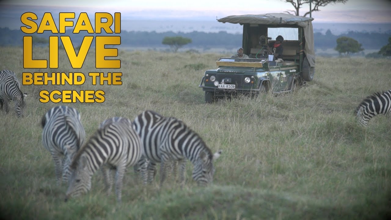 The fresh new faces of safariLIVE
