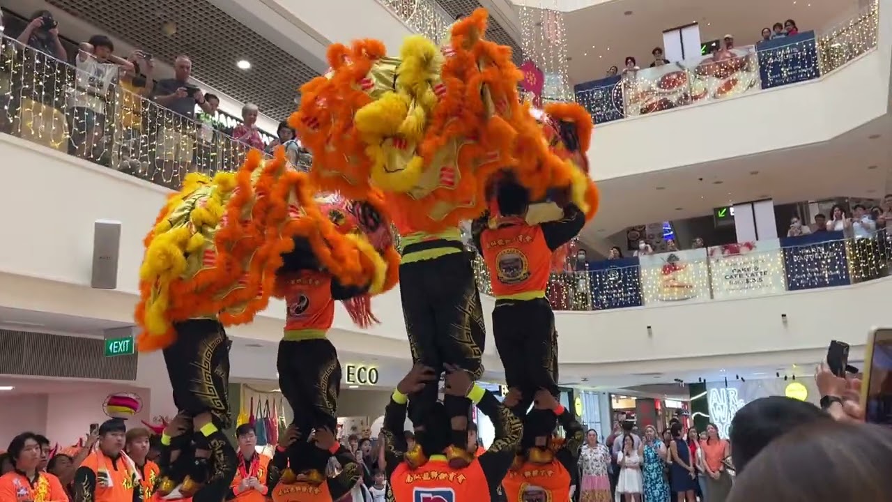 LION DANCE | NAM SIENG | ACROBATIC LION DANCE | PARKWAY PARADE | 5 FEB 2025
