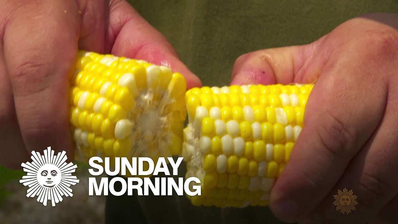 Taste of Summer: Corn