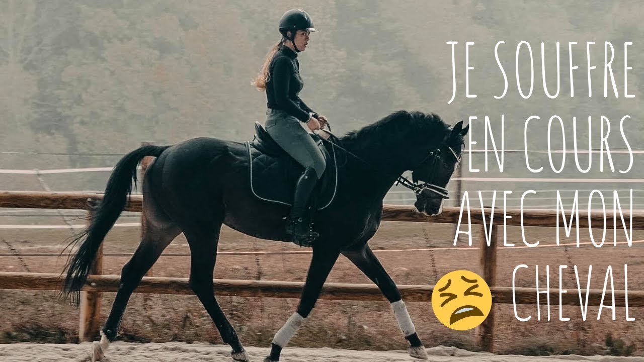 SÉANCE - COURS DE DRESSAGE AVEC LES COMMENTAIRES DE MON COACH !