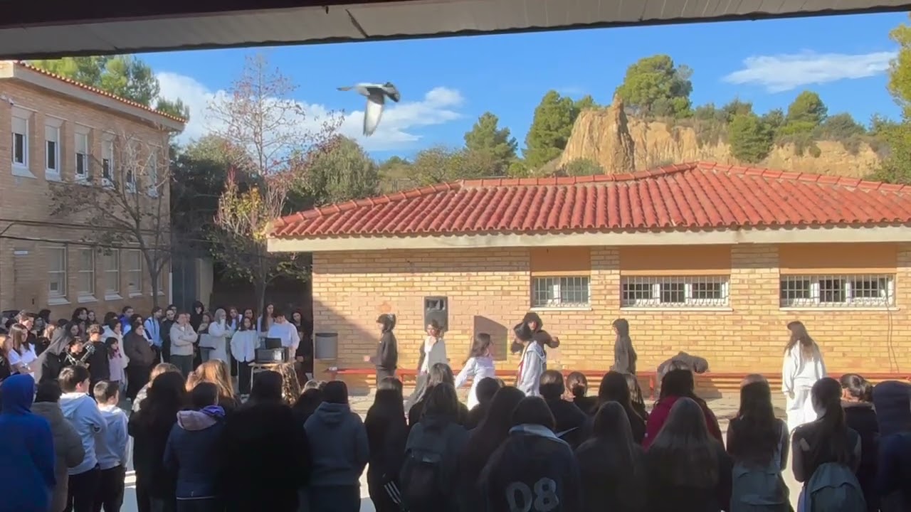 Performance contra la violència de gènere