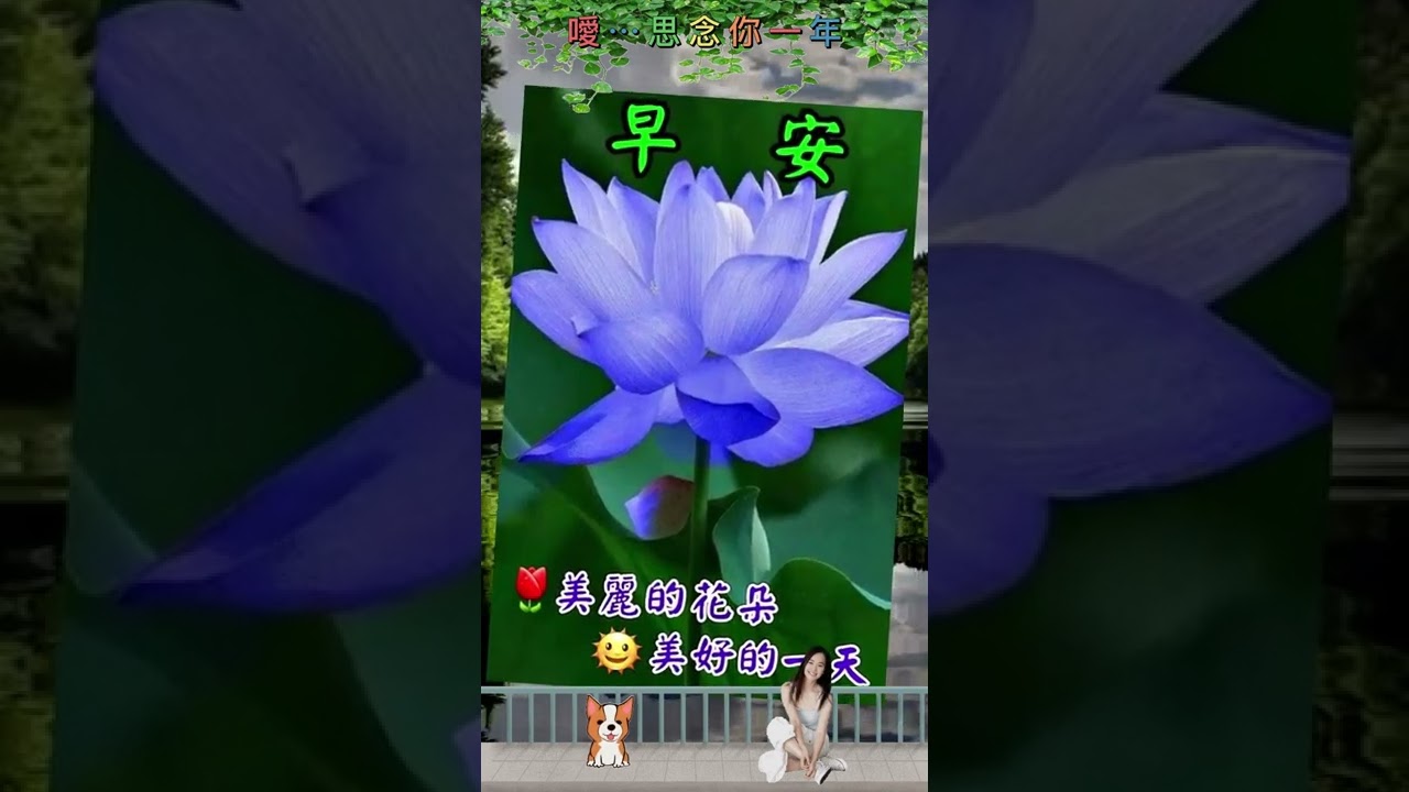 早安您好!!! (台語歌~重逢的港口)