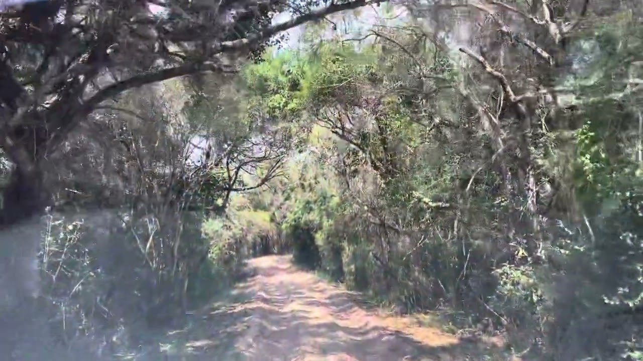 Thonga Beach Lodge