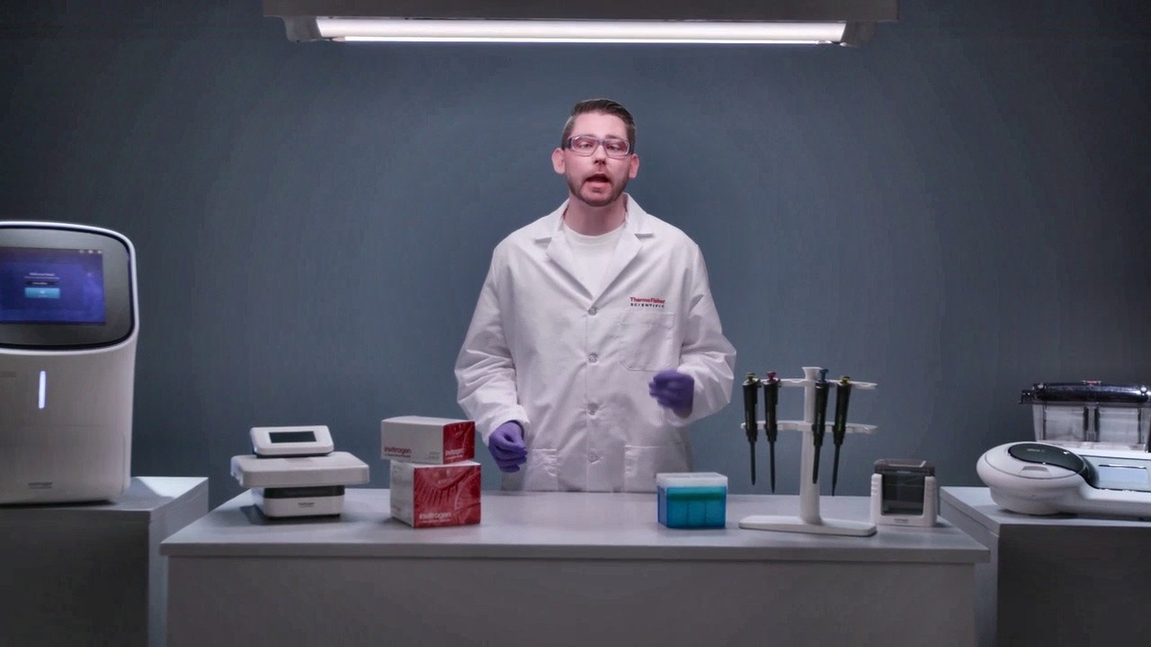 Буферы для вестерн-блоттинга — правильно подбирайте зонды для вестерн-блоттинга для получения чет...