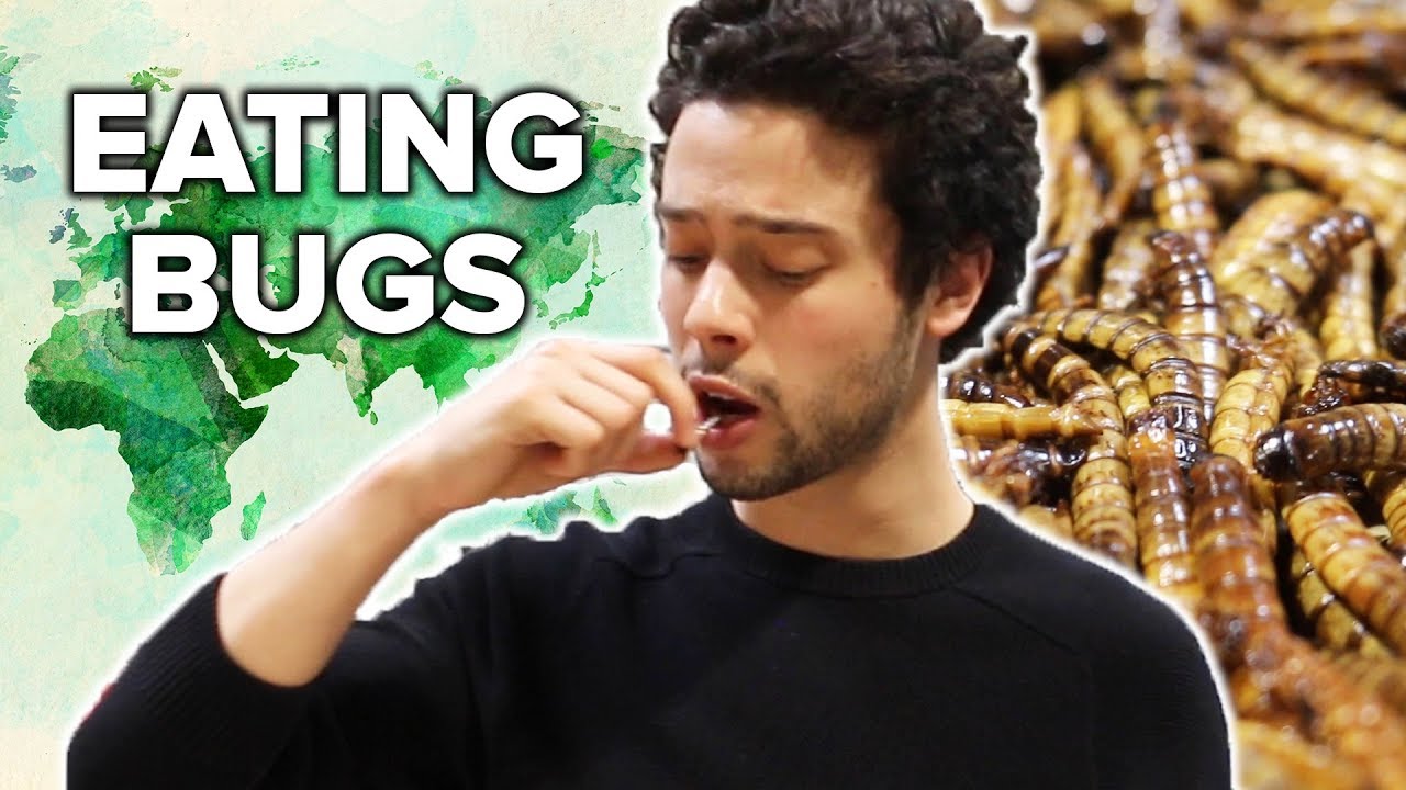 I Ate Bugs To Save The World