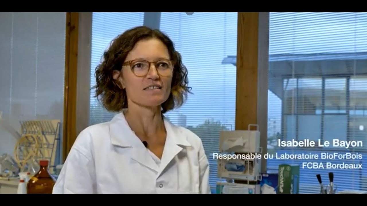 En immersion avec FCBA #2 Laboratoire BioForBois
