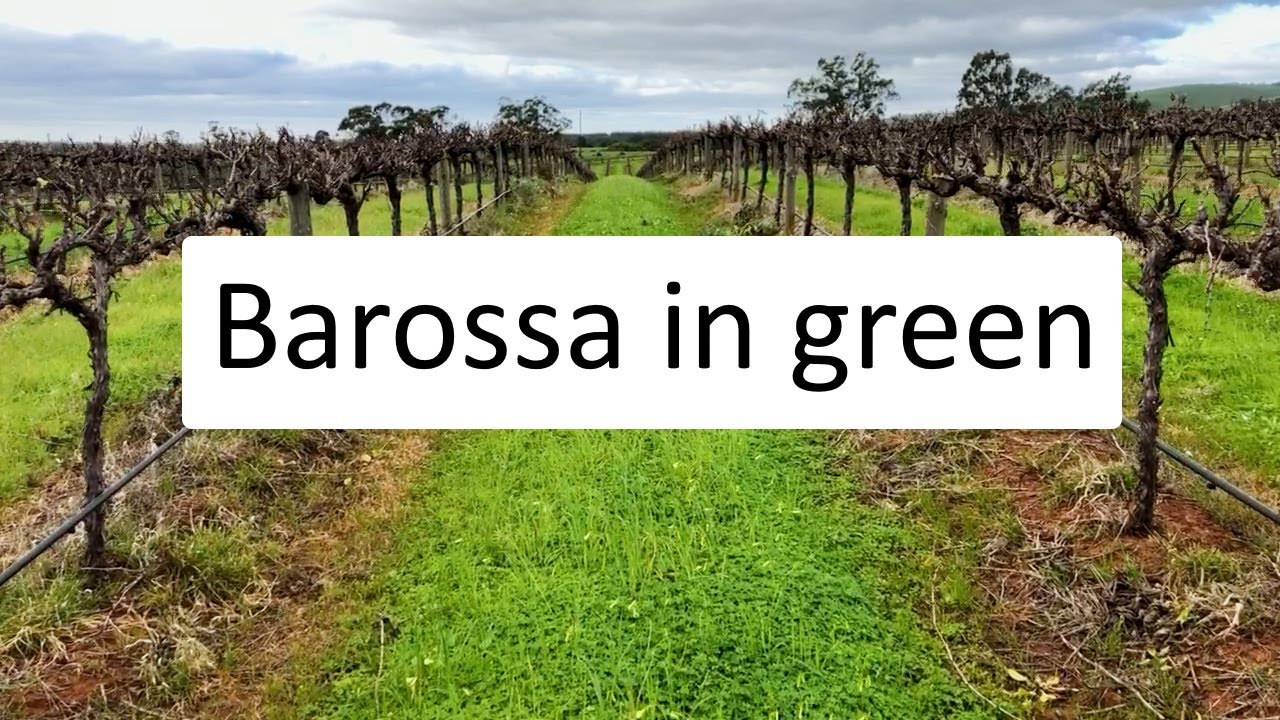 The Barossa Valley dressed in green