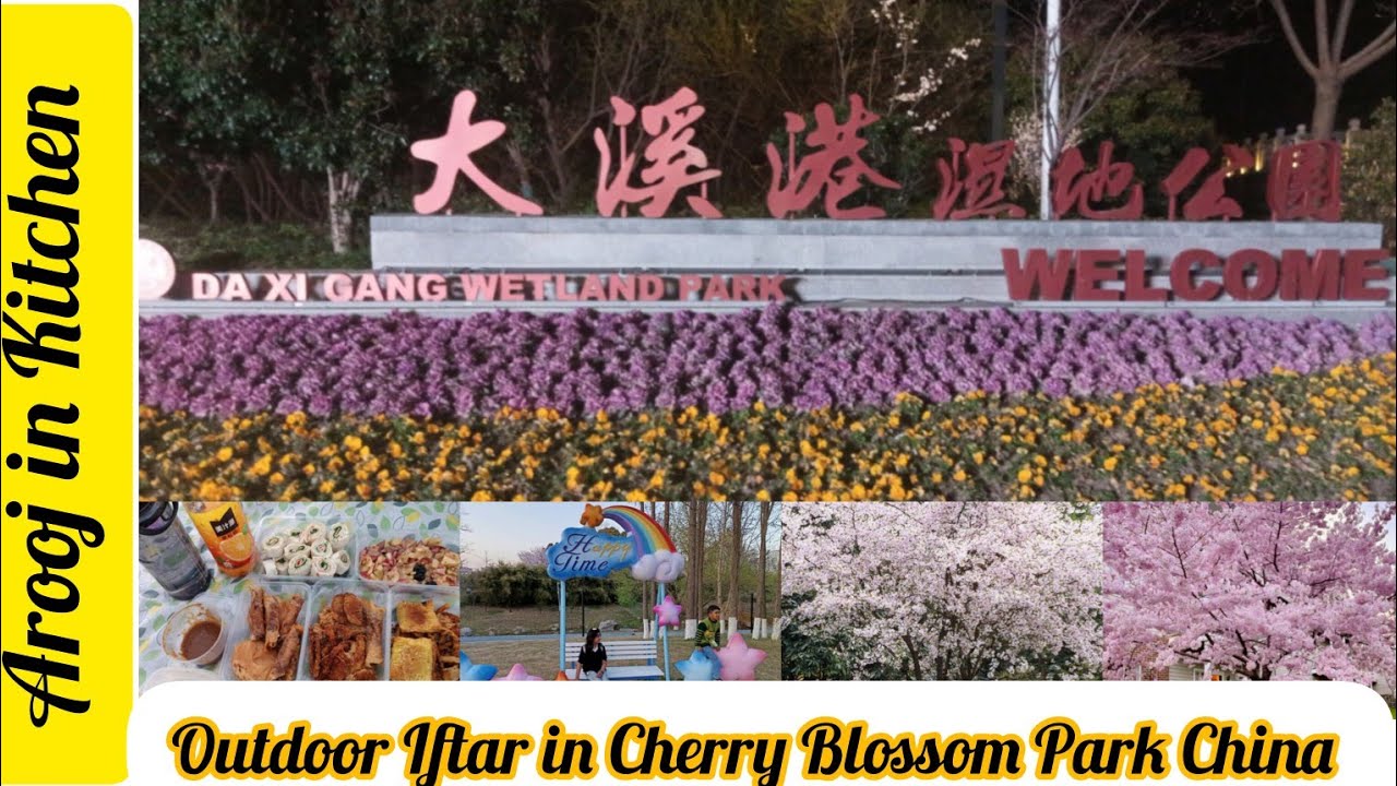 Outdoor Iftar in Cherry Blossom Park China
