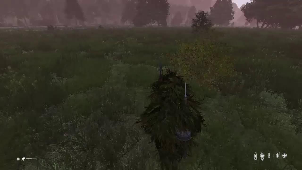 Dayz Official| PVP on High Pop | Happy New year  #DayZ #DayZStream #Pvp
