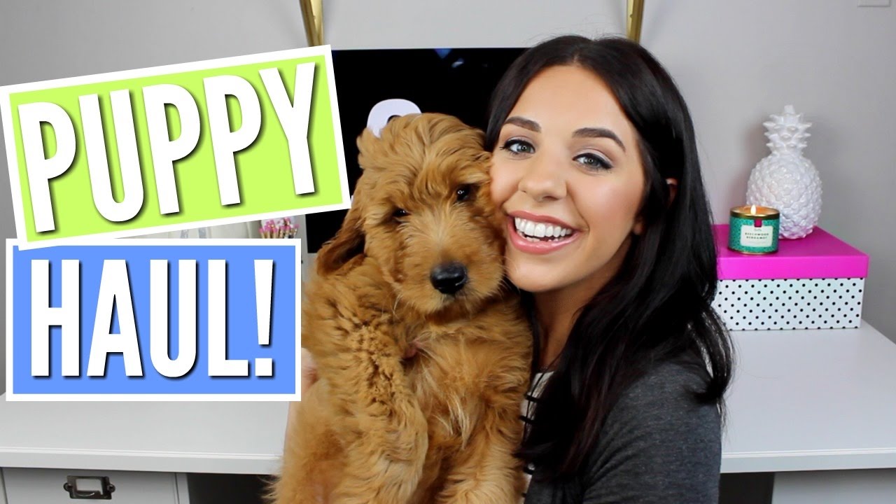 PUPPY HAUL! MY GOLDENDOODLE PUPPY! |TJMAXX, PETSMART, PETCO|