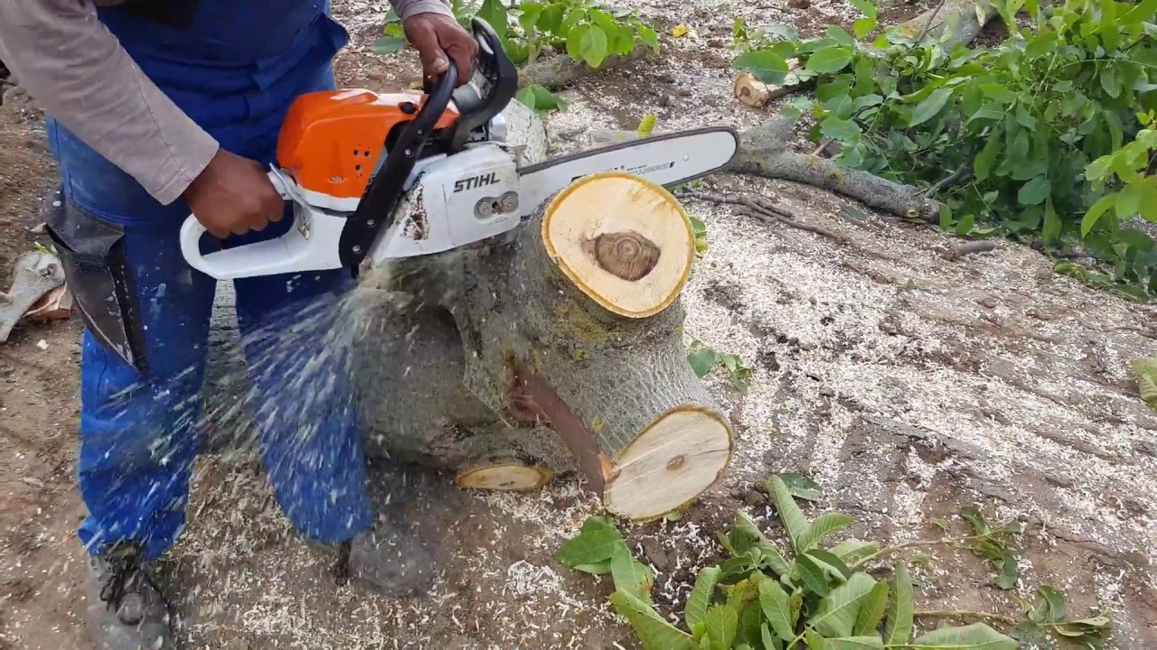 Stihl MS 311 vs Husqvarna SG 162   chainsaw