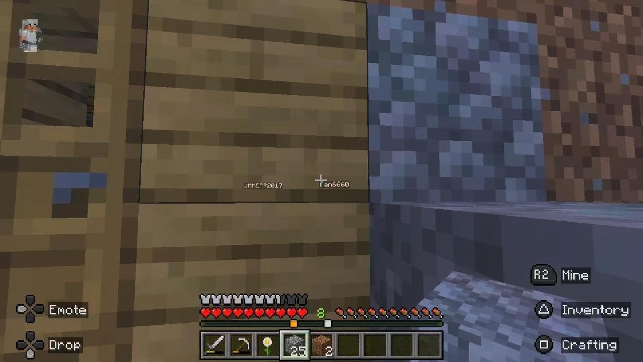 Minecraft chicken civilization