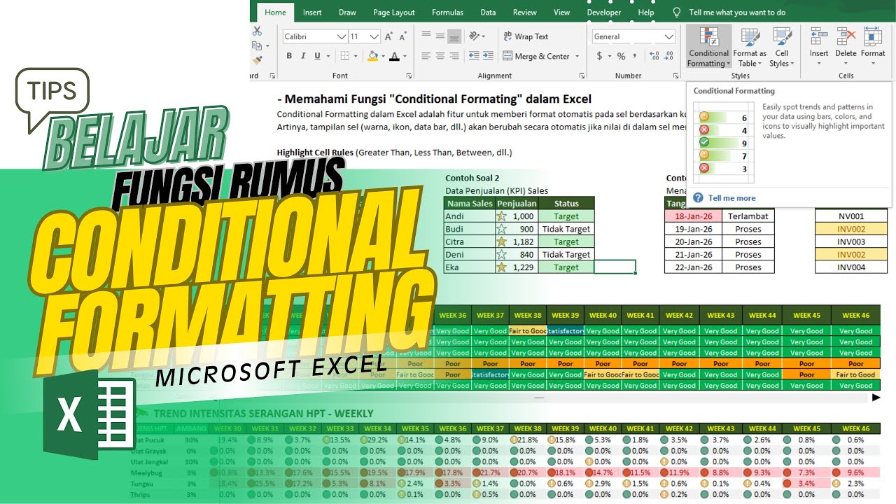 Belajar Memahami Fungsi Conditional Formating dalam 10 Menit!
