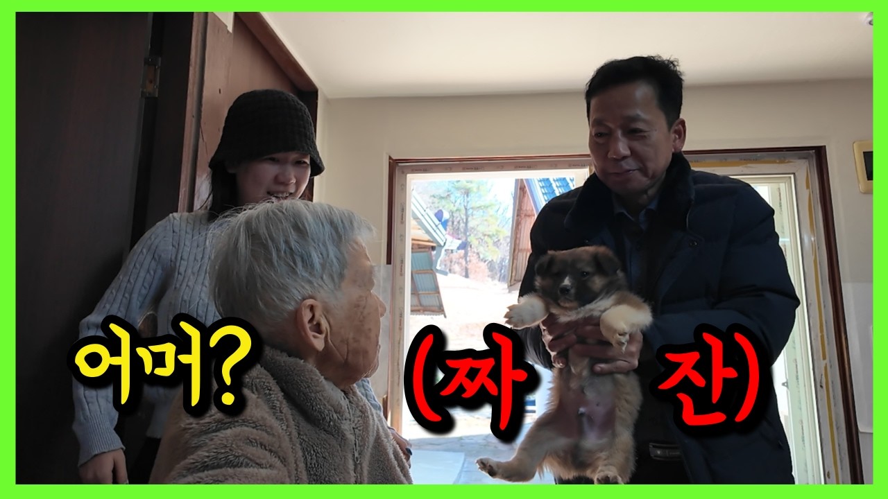 치매할머니한테 새끼 강아지를 보여준다면?