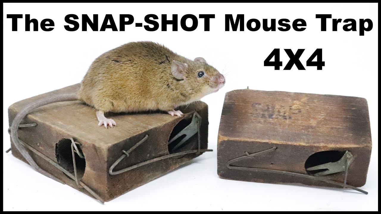 The 4x4 Cheese-It (AKA Snap-Shot) Mouse Trap From 1898 - Rare Antique Mouse Trap. Mousetrap Monday